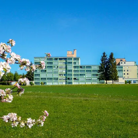 Buntspecht - G 25 By Interhome Dittishausen