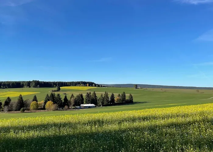 Buntspecht - G 25 By Interhome * Dittishausen