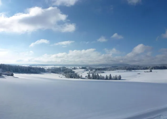 Appartement Buntspecht - G 25 By Interhome Dittishausen